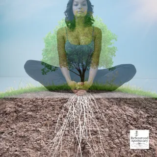 Guided Rituals for Grounding