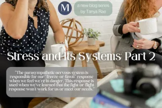 Stress & It's Systems - Part Two