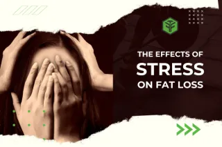 The Science Behind Stress and Its Impact on Belly Fat