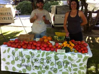 From Farm to Festival: Why Angels Camp Farmers Market is the Place to Be
