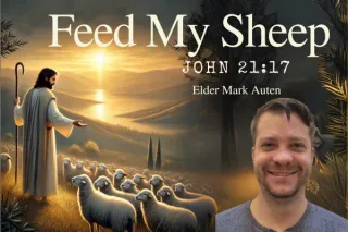 Feed My Sheep