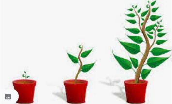 Alignment Creates Sustainable Career Momentum