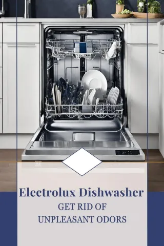 Electrolux Dishwasher: Get Rid of Unpleasant Odors