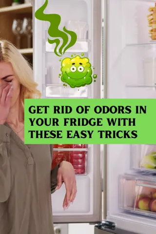 Why Does My Fridge Smell Bad? How to Get Rid of Odors