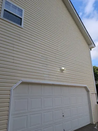 DIY vs. Professional Roof Cleaning: What You Need to Know
