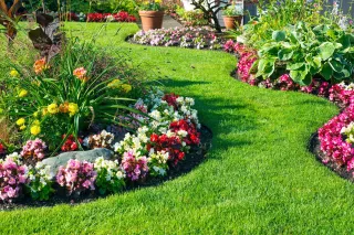 Orange County Landscape Design Guide: Transform Your Home