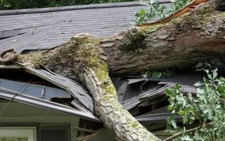 Resources When Impacted by a Storm
