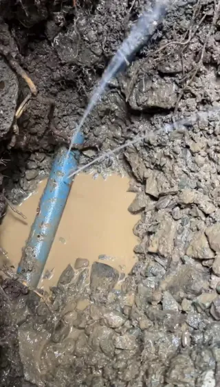 Understanding the Cost of Water Leaks: A Deep Dive into Damages