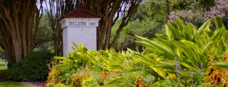 Discover the Charm of Bellaire