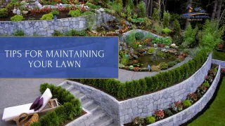 Expert Tips for Maintaining Your Lawn Through the Mississippi Seasons