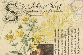 Safe Summer Herbal