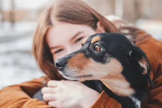 The Dos & Don'ts of Dogs