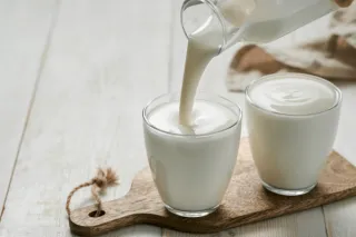 Kefir for Dogs: Gut Health Benefits of Kefir