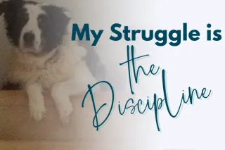 I Love the Results… I Just Struggle With the Discipline