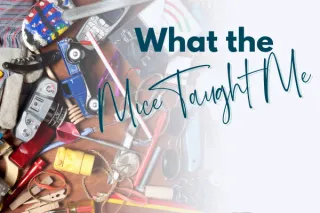 What the Mice Taught Me About Clutter, Control, and Letting Go