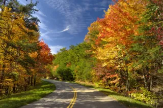 Where to See Spectacular Fall Foliage in the Smokies