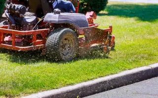 How to Mow Grass for a Lush Lawn