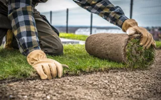 Professional Guide to the Best Time for Lawn Aeration Blog Post