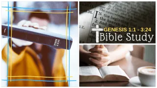 Bible Study: Genesis 7.1 - 8.22