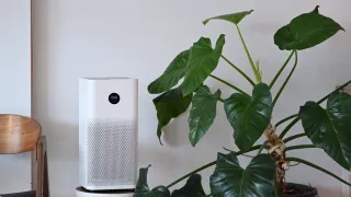 What’s an Air Purifier? Essential Things to Know Before You Buy