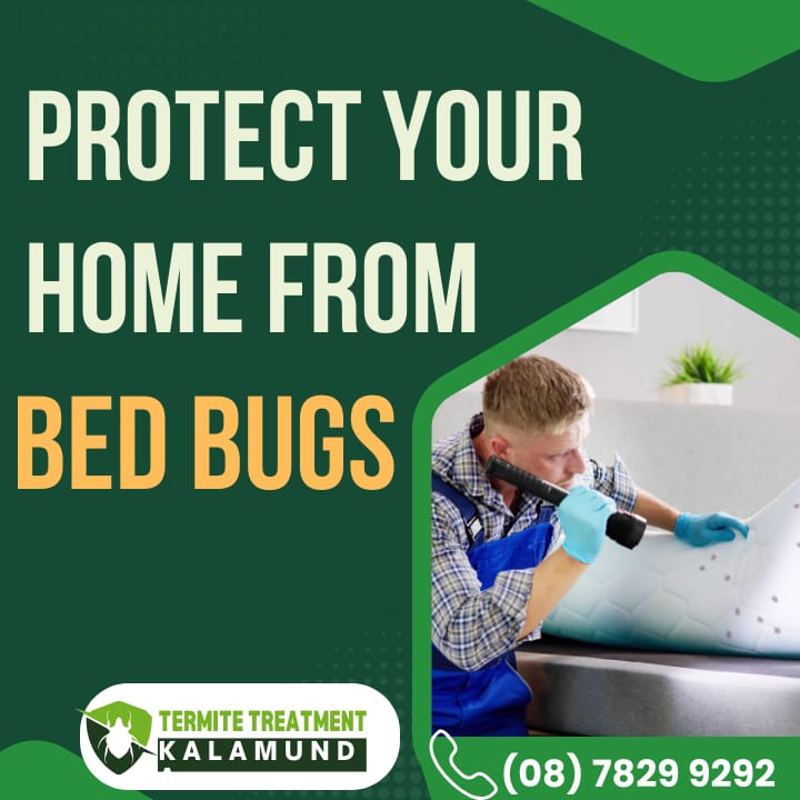 Effective Bed Bug Control in Kalamunda: Protect Your Home from These Unwanted Pests
