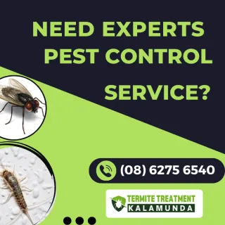 Expert Pest Inspections and Pest Control in Perth