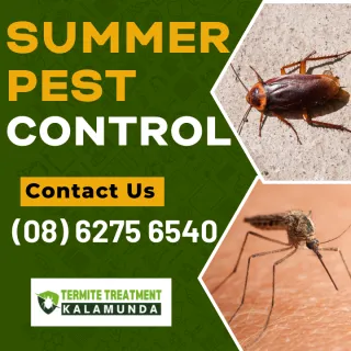 Essential Summer Pest Control Tips for Kalamunda  Homes