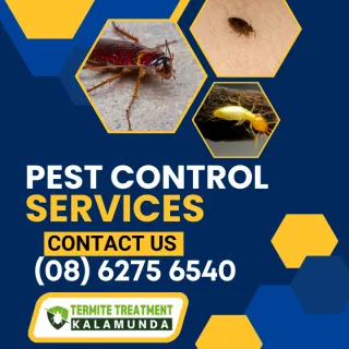 Pests pose numerous problems during peak Allergy season