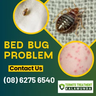 Code of practice for Bed bug infestations in Kalamunda