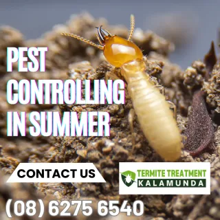 Protecting your home against summer pests