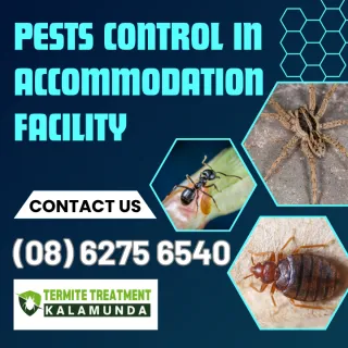 Accommodation Facility Pest Control Services