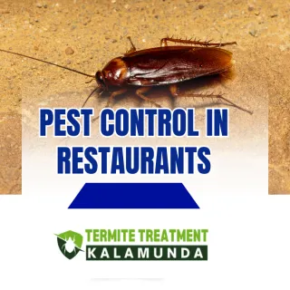 How pest control is important for Restaurants