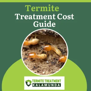 Cost of Termite Barrier Treatment: A Complete Price Guide