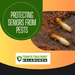 Pests and the Elderly: Why Seniors Are More Vulnerable to Infestations