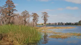Escape to Nature at Bill Frederick Park at Turkey Lake: Orlando’s Best-Kept Outdoor Oasis