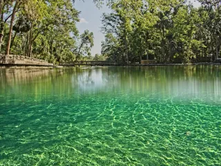 Wekiwa Springs State Park: A Hidden Gem for Nature Lovers in Florida
