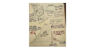 Data-Driven Detection of Accelerated Wear in Critical System Components.