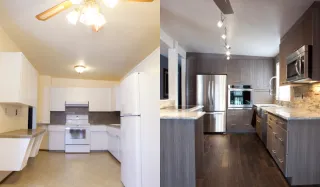 Finding the Right Home