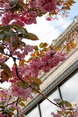 Grow Smarter, Not Harder with These Spring Yard Ideas