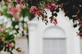 Spring Cleaning Essentials: Simple Steps for a Fresh Start