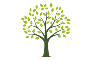 Why Practice Daily Tai Chi Gung?