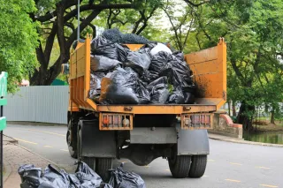 How Junk Selma Makes Cleanup Easy and Stress-Free