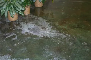Will Concrete Sealer Stop Efflorescence?