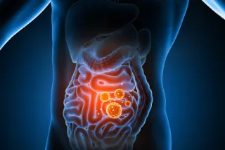 Gut Check: Why Men Over 50 Should Care About Digestive Health