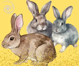 "Rabbits! Rabbits! Rabbits!"