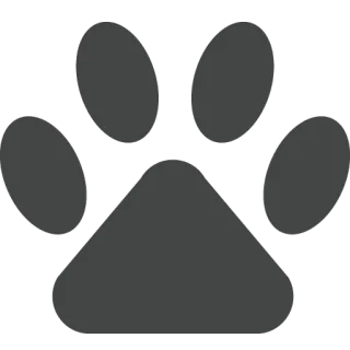 FAQ image