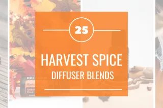 Harvest Spice