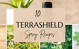 TerraShield Recipes