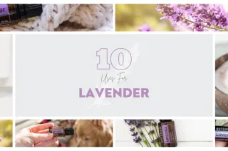 doTERRA Lavender Essential Oil