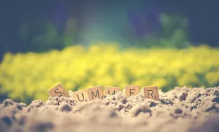 Emotional Regulation in the Summer: Staying Grounded When Everything Feels a Bit Too Much